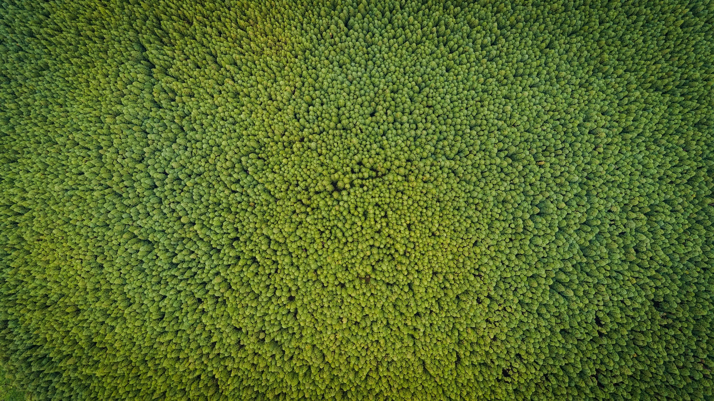 Green Claims