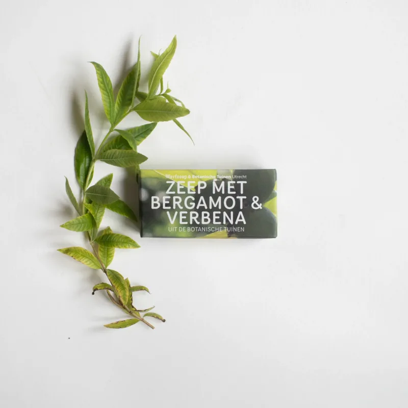 Werfzeep Botanische Tuinenzeep II Bergamot & Verbena