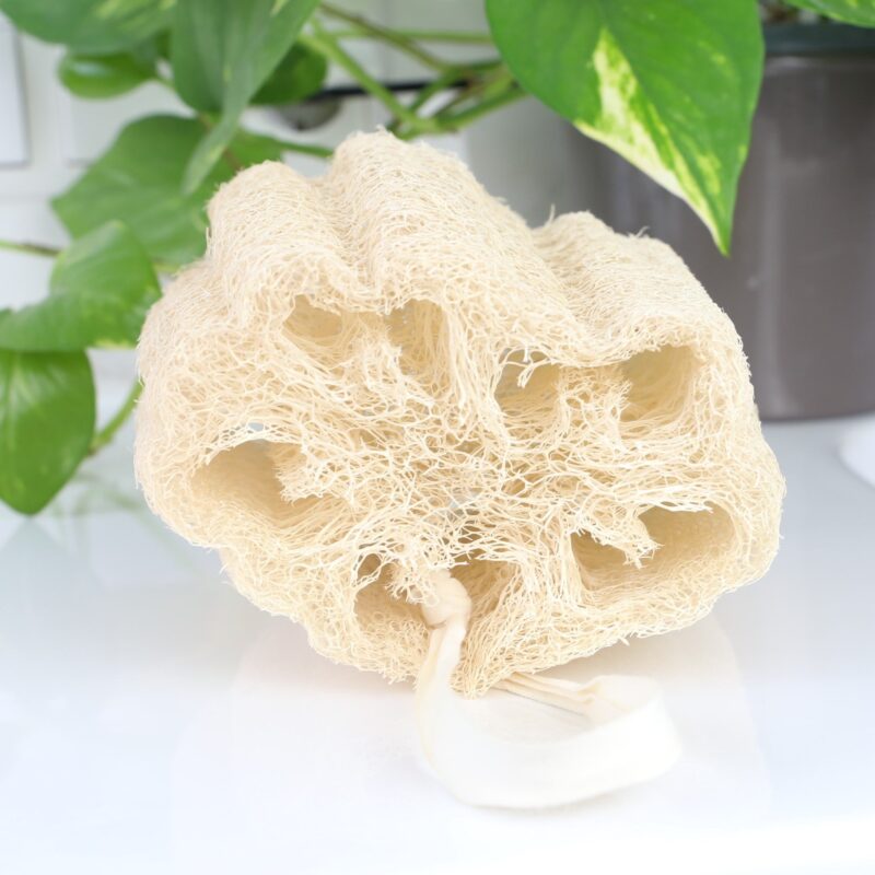 Beewise Loofah Body Spons