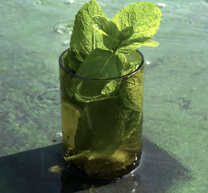 Rebottled Short Tumbler Glazen