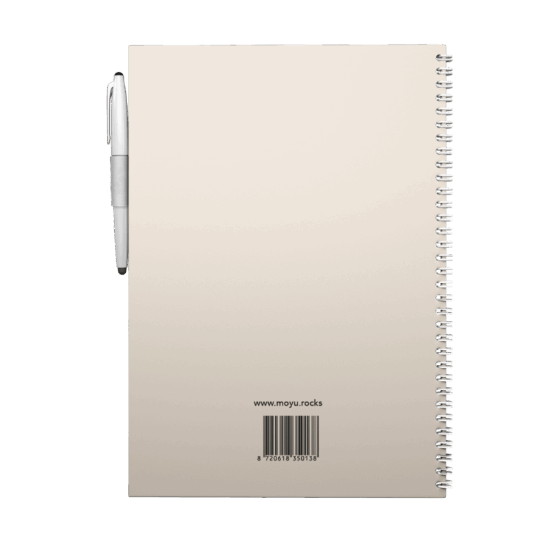 moyu-back-to-stone-notebooks-flamingo-desert-A4-back-cover