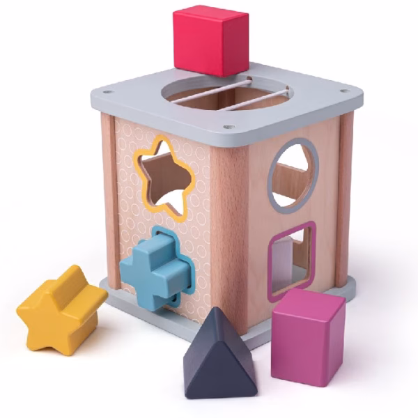 BigJigs Toys Houten Vormensorteerder vanaf 1 jaar | Door de blokken door het juiste gat te stoppen maakt je kind kennis met verschillende kleuren en vormen.