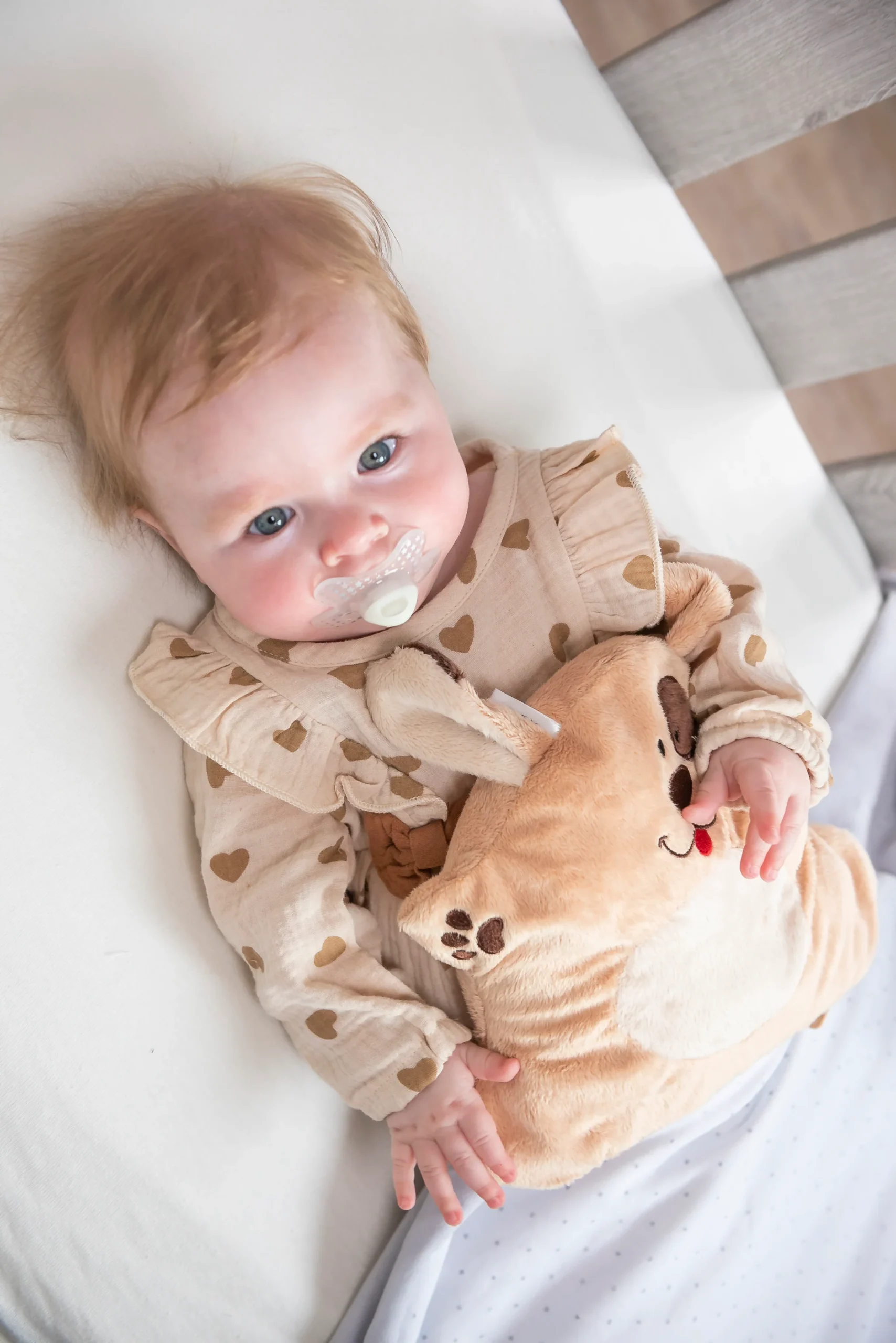 Geef je kindje warmte, geborgenheid en ontspanning met de Cherry Belly Baby Warmteknuffel Hond. Deze zachte knuffel is meer dan alleen een vriendje: hij bevat een uitneembaar kersenpitkussen dat eenvoudig opgewarmd kan worden in de magnetron. Perfect om je kleintje rust en troost te bieden tijdens het slapen of bij buikkrampjes.